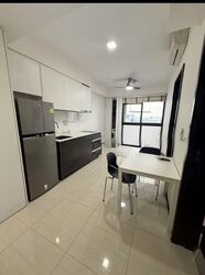 Sims Urban Oasis (D14), Condominium #556950731